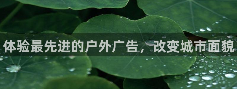 杏宇平台主管