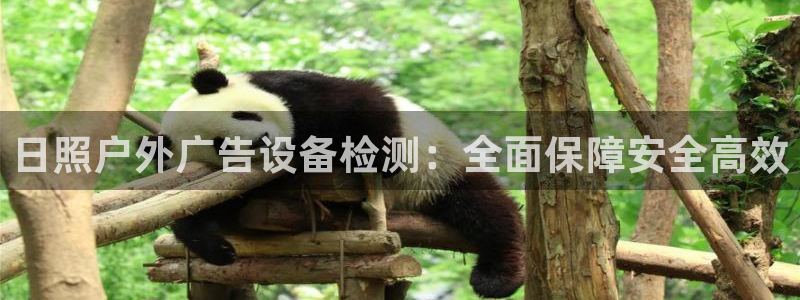 杏宇代理注册