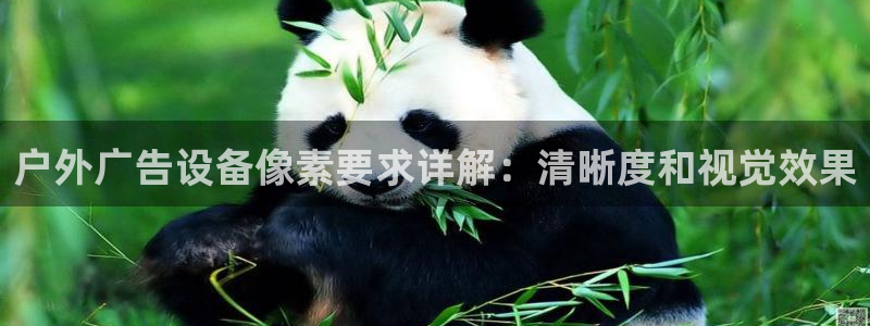 杏宇平台代理怎么样