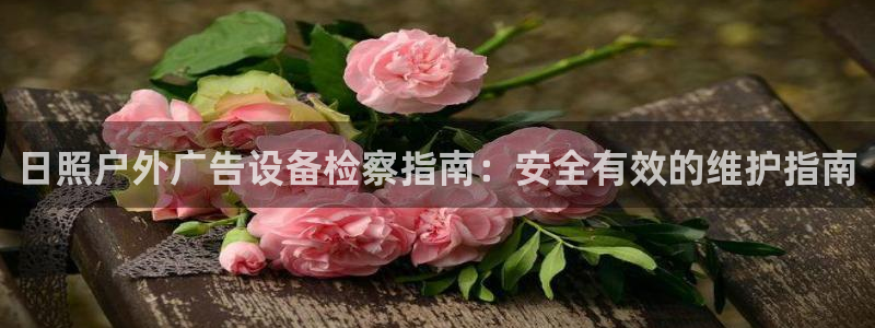 杏宇官方平台官网入口