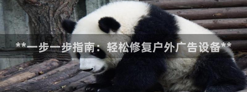 杏宇平台怎么样