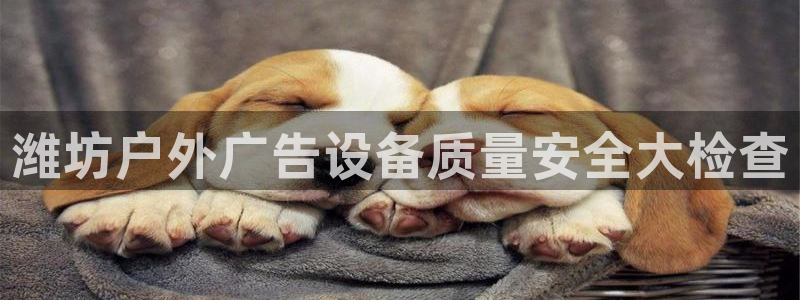 杏宇平台代理怎么样啊