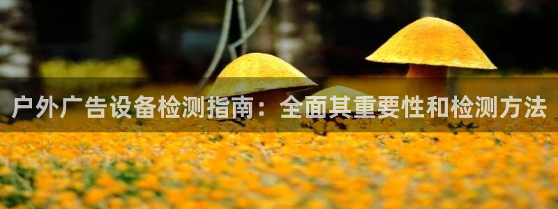 杏宇平台招商电话号码