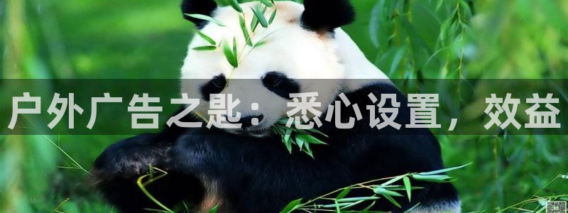 杏宇平台登录步骤