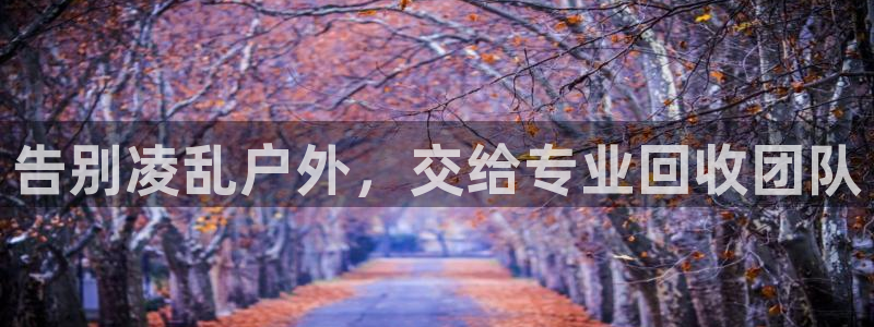 杏宇平台注册地址