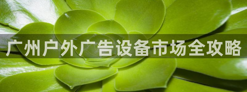 杏宇平台怎么样