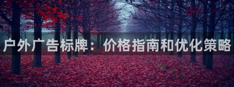 杏宇平台代理多少钱一次：户外广告标牌：价格指南和优化策略