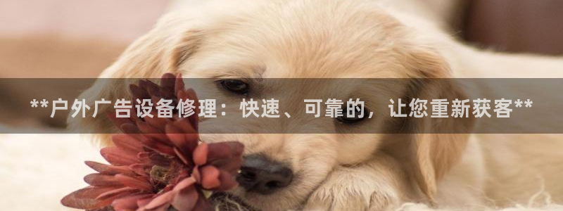杏宇平台登陆：**户外广告设备修理：快速、可靠的，让您重新获客**