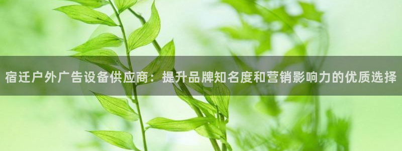 杏宇平台提现为什么这么久呢：宿迁户外广告设备供应商：提升品牌知名度和营销影响力的优质选择