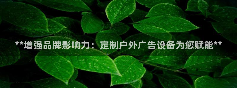 杏宇平台登录步骤图：**增强品牌影响力：定制户外广告设备为您赋能**
