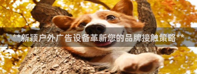 杏宇平台招商怎么样：**新颖户外广告设备革新您的品牌接触策略**