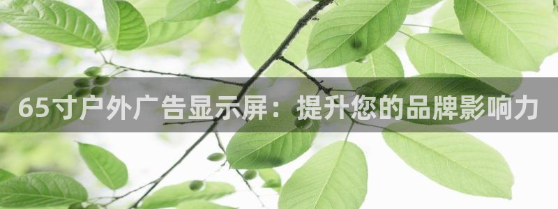 杏宇平台总代理电话：65寸户外广告显示屏：提升您的品牌影响力