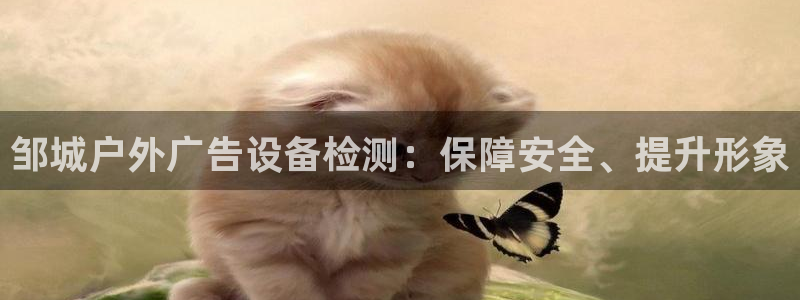 杏宇平台代理怎么样赚钱：邹城户外广告设备检测：保障安全、提升形象
