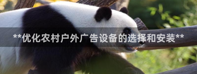杏宇平台代理多少钱一个：**优化农村户外广告设备的选择和安装**