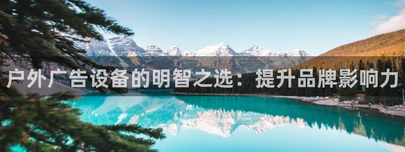 杏宇平台怎么样知乎