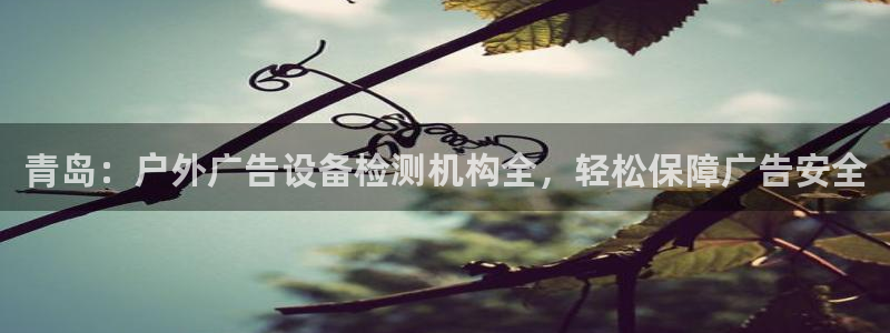 杏宇平台代理怎么样