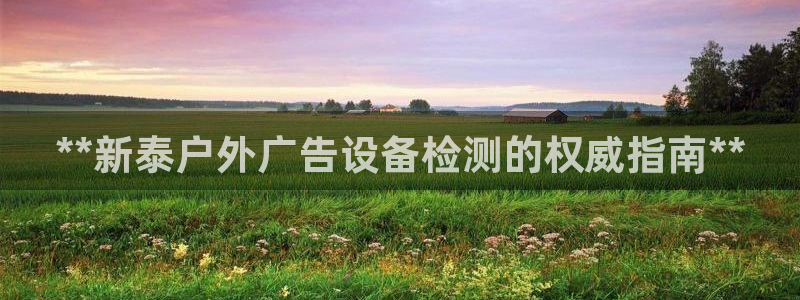 杏宇平台是什么：**新泰户外广告设备检测的权威指南**