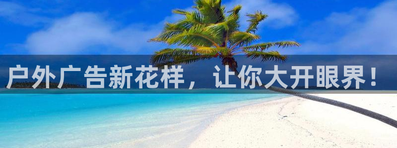 杏宇平台主管
