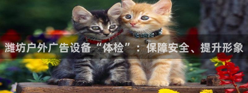 杏宇平台登录方法