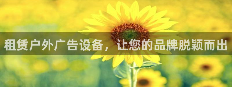杏宇平台主管