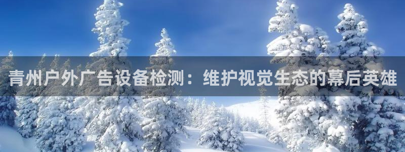 杏宇官方平台官网