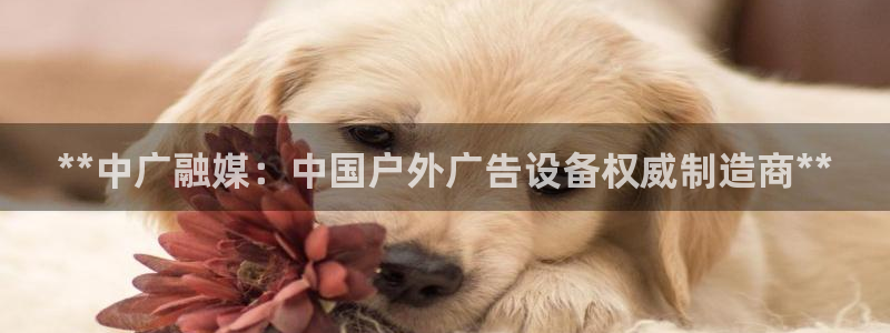 杏宇平台代理多少钱