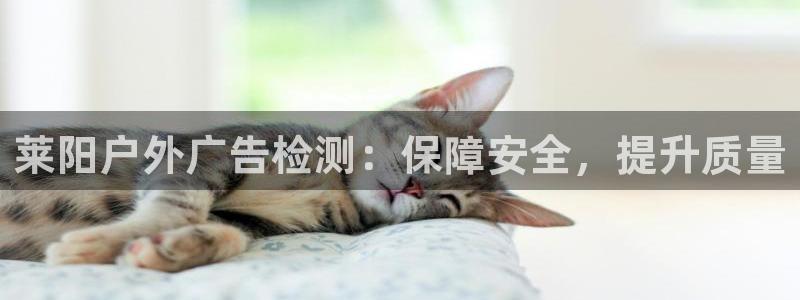 杏宇官方平台官网下载：莱阳户外广告检测：保障安全，提升质量