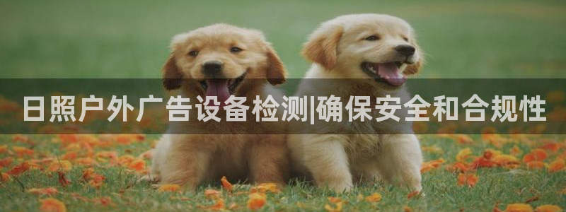 杏宇平台注册登录