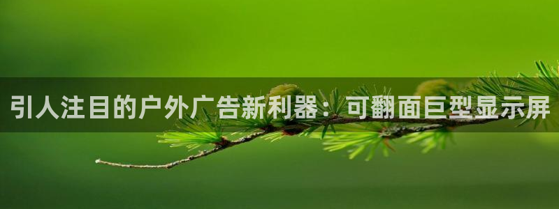杏宇平台是什么