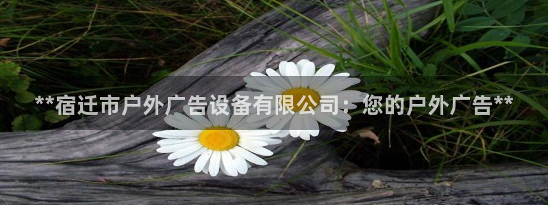 杏宇平台代理多少钱