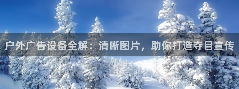 杏宇平台代理