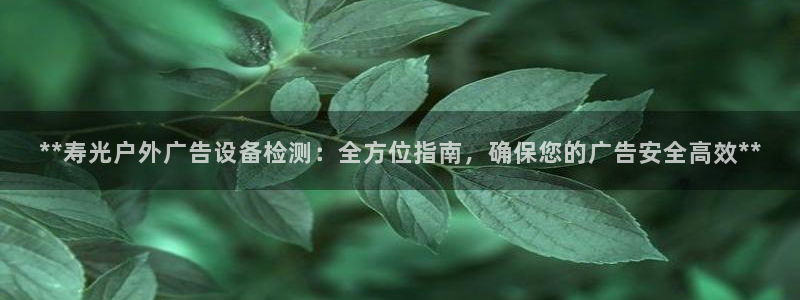 杏宇平台注册登录：**寿光户外广告设备检测：全方位指南，确保您的广告安全高效**