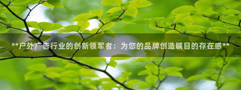 杏宇平台代理多少钱：**户外广告行业的创新领军者：为您的品牌创造瞩目的存在感**