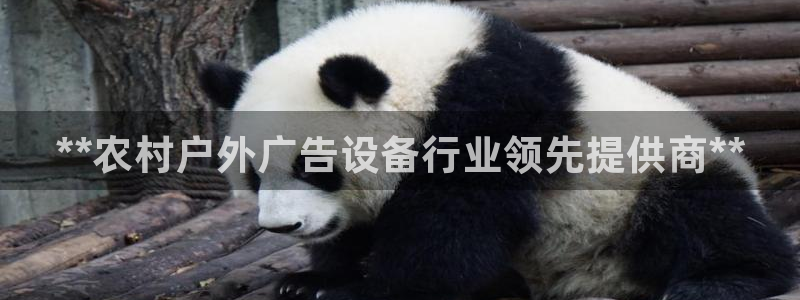 杏宇平台怎么样：**农村户外广告设备行业领先提供商**