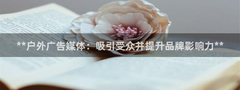 杏宇官方平台官网入口：**户外广告媒体：吸引受众并提升品牌影响力**