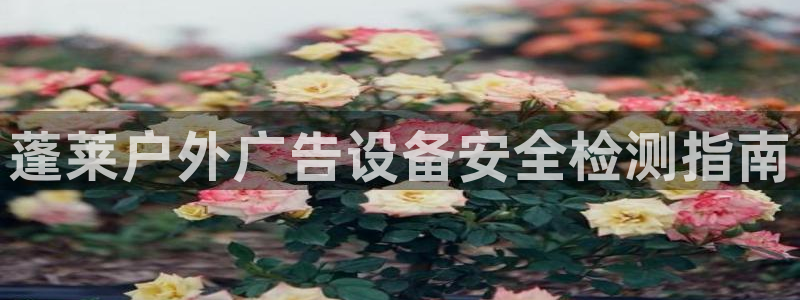 杏宇平台注册地址在哪里