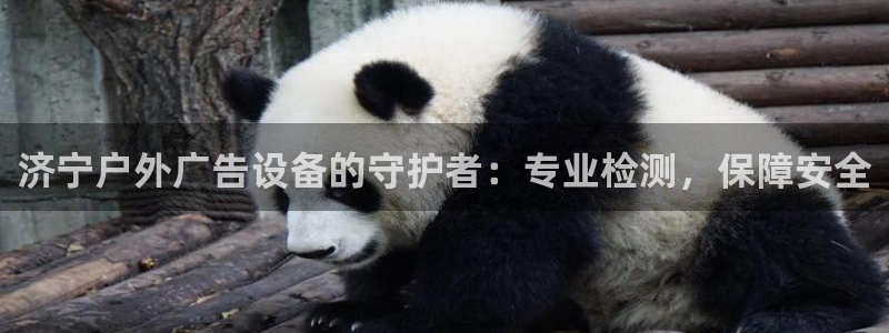 杏宇平台提现为什么这么久呢