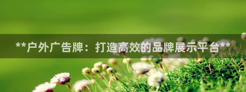 杏宇官方平台官网下载：**户外广告牌：打造高效的品牌展示平台**