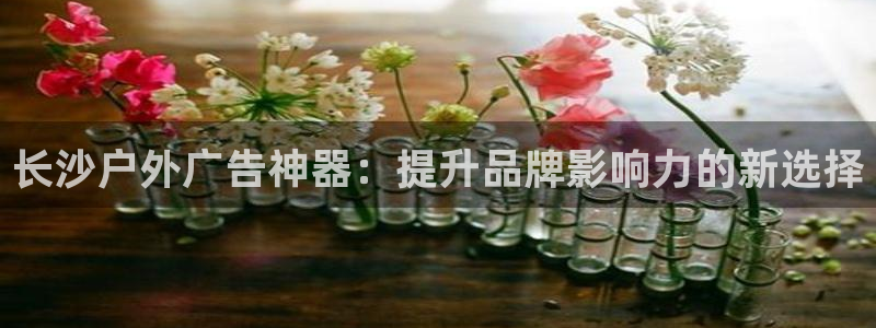 杏宇平台怎么样知乎