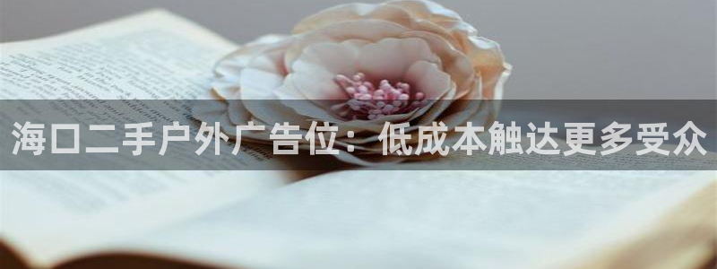 杏宇平台测速链接