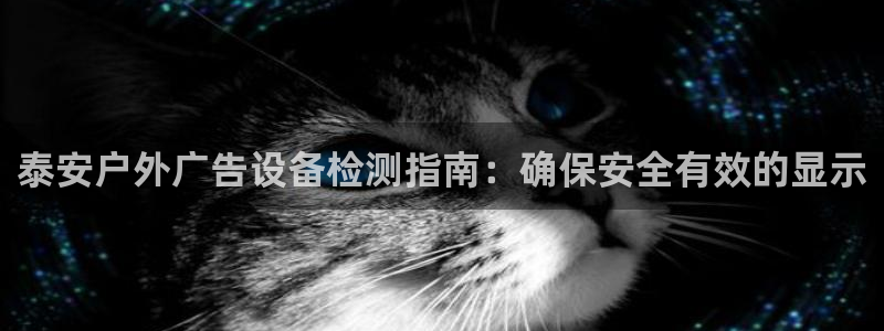 杏宇平台代理多少钱一次：泰安户外广告设备检测指南：确保安全有效的显示