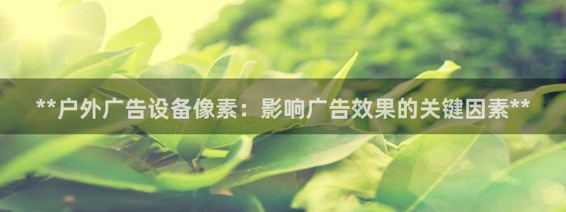 杏宇代理注册：**户外广告设备像素：影响广告效果的关键因素**