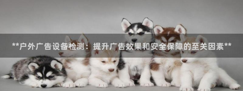 杏宇平台总代理电话：**户外广告设备检测：提升广告效果和安全保障的至关因素**