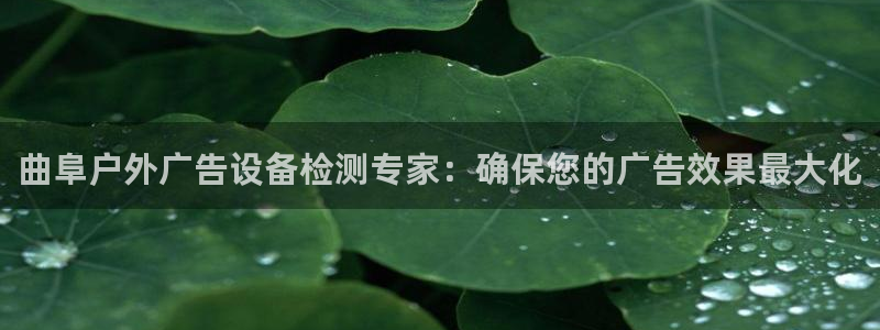 杏宇平台代理多少钱一个：曲阜户外广告设备检测专家：确保您的广告效果最大化