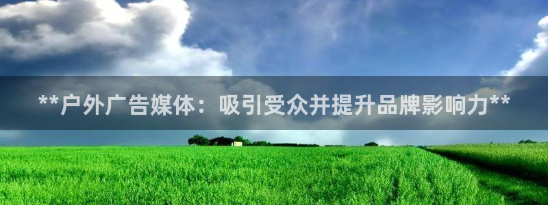 杏宇平台代理怎么赚钱：**户外广告媒体：吸引受众并提升品牌影响力**
