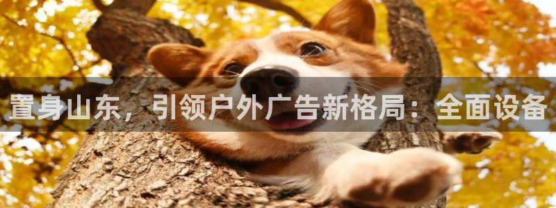 杏宇平台测速链接：置身山东，引领户外广告新格局：全面设备