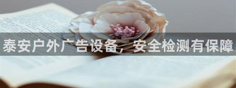 杏宇平台登陆