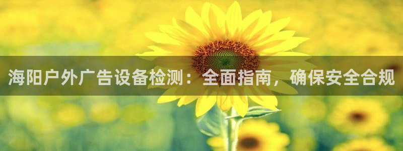 杏宇平台测速链接：海阳户外广告设备检测：全面指南，确保安全合规