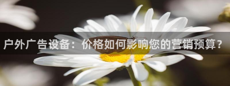 杏宇平台注册登录