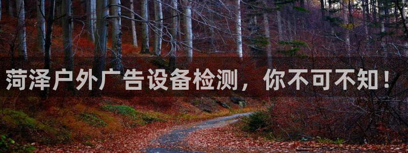 杏宇平台代理怎么样可靠吗